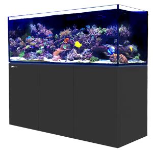 Fish Tanks Direct .
